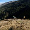 ENGAGEMENT MONITEUR/GUIDE VTT "SAINT LARY VALLÉE D'AURE"