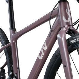 LIV Devote1_ColorA EVO2 STORE