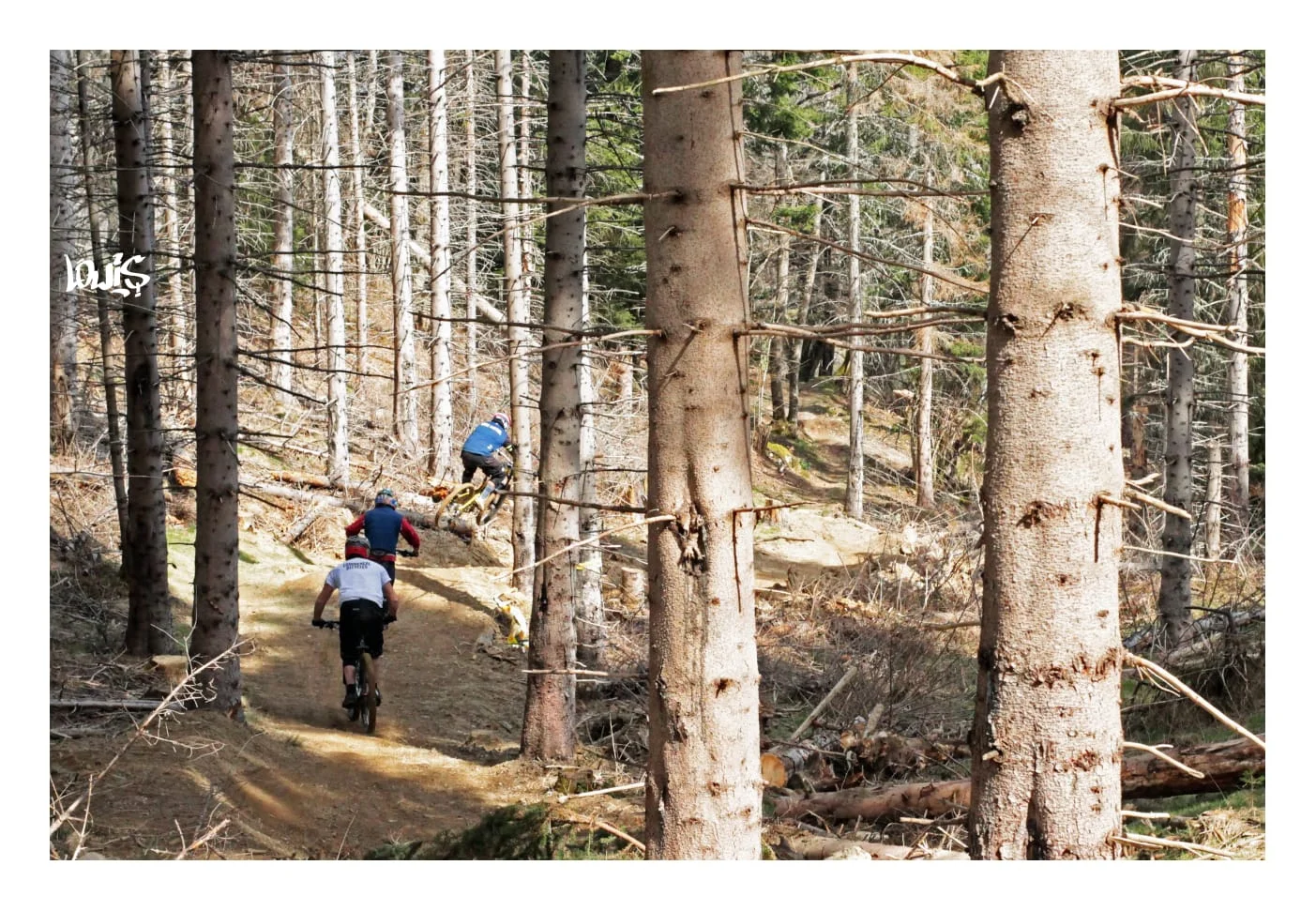 NAVETTE VTT ENDURO ANCIZAN "La Salamandre"