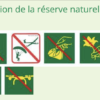 SORTIE RAQUETTE NÉOUVIELLE evolution 2 Saint Lary