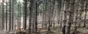 mtb trails 65 vtt saint lary pyrenees