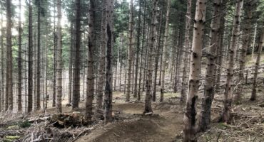 mtb trails 65 vtt saint lary pyrenees