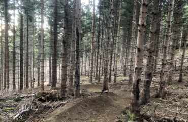 mtb trails 65 vtt saint lary pyrenees