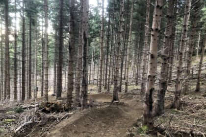 mtb trails 65 vtt saint lary pyrenees