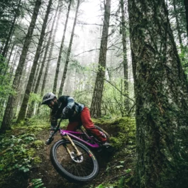 location santa cruz heckler sl saint lary