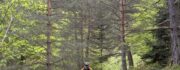 SCHISTAULE – Trail Enduro VTT Saint-Lary